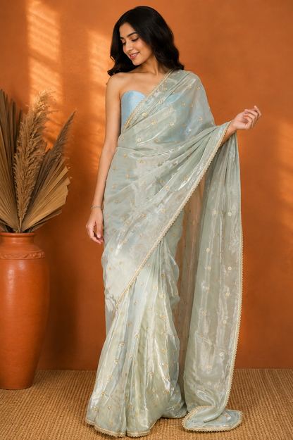 Pastel Green Embellished Organza | Ready To Wear Saree